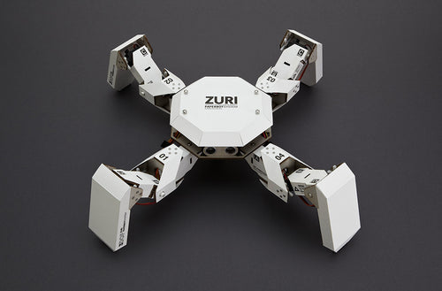 Cardboard Robot Spider